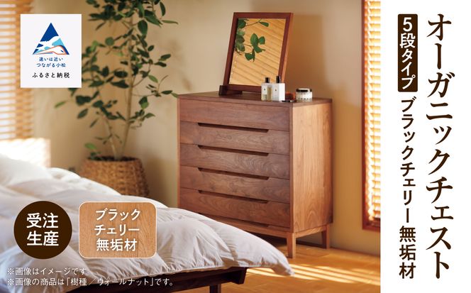 yΐ쌧szyCނċzĈߗނzI[KjbN`FXg@5i^Cv@ubN`F[C  D00035