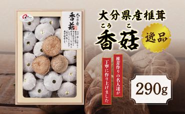 【F07020】大分県産椎茸　香菇　逸品　IP-B