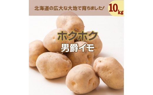 【予約：2024年9月下旬から順次発送】北海道 JAきたみらい「男爵いも」10kg ( 期間限定 野菜 芋 )【005-0008-2024】