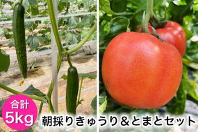 朝採りきゅうり＆とまとセット｜新鮮 産直 農家 直送 トマト キュウリ 野菜 埼玉 杉戸 [0205]