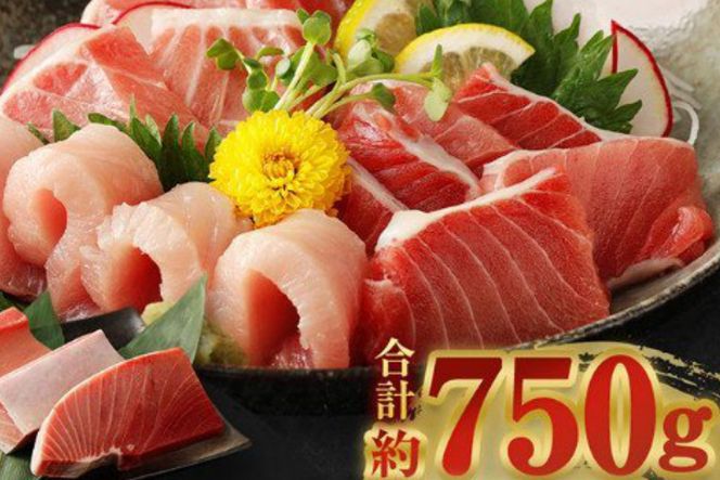 【定期便5回】厳選天然マグロ 堪能定期便 お楽しみ 【訳あり】 まぐろ 鮪 大トロ 中トロ 赤身 南マグロ めばちマグロ びんちょうマグロ 食べ比べ 刺身 刺し身 海鮮丼 寿司 魚 魚介類 冷凍 定期便 5回 ふるさと納税限定 送料無料　ge008