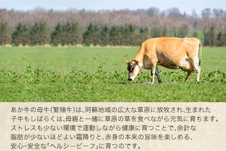 6ヶ月定期便 肥後のあか牛 焼き肉用 約500g×6ヶ月 牛肉 長洲501 熊本 特産 あか牛《お申込み月の翌月から出荷開始》---sn_f501hyktei_23_84000_mo6num1---
