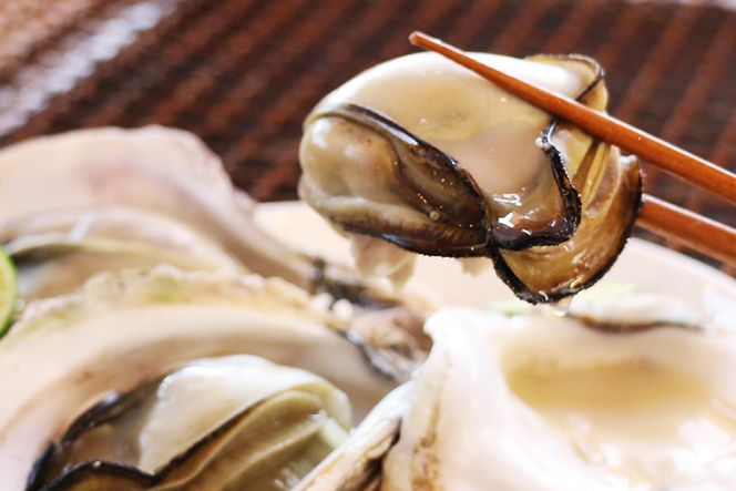 【期間限定発送】岩牡蠣 殻付き 細島 岩ガキ 約3.5kg [道の駅日向 宮崎県 日向市 452060570] いわがき 岩がき 牡蠣 日豊海岸 濃厚 クリーミー