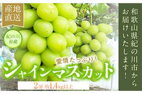 大粒シャインマスカット約1.4kg(700g程度×2)ｍ＆ｎ果実園《8月末-10月上旬頃より出荷予定(土日祝除く)》和歌山県 紀の川市--wsk_cmnk10_l810_23_22000_2f---