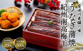 うなぎ蒲焼 4尾 合計 500g  紀州南高梅干 200g 有田みかん蜂蜜 塩分7％ セット Y022