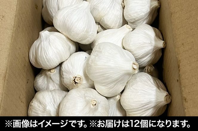 宮城県利府町産 白にんにく（約45g×12個 約540g）野菜 国産 新鮮|06_mlc-020101