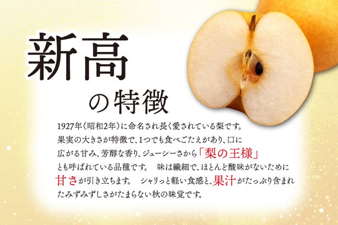 ★先行予約★ 【2026年9月発送】仁平果樹園の梨 「新高」5kg (8個～14個) (9月下旬より順次配送) | 果物 新鮮 フルーツ ギフト 梨 ナシ 益子町産梨 甘い あまい 糖度11.5以上 糖度保証 果汁 果肉 栃木県 益子町 (DB004)