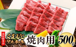 くまもと黒毛和牛 焼肉用 500g《90日以内に出荷予定（土日祝除く）》 南阿蘇食品---sms_fkmkgyk_90d_23_20000_500g---