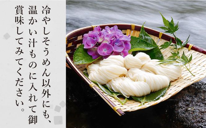 【定期便 年6回】手延べ 麺 詰め合わせ 3kg （50g×60束） / そうめん パスタ 中華めん うどん / 南島原市 / 池田製麺工房 [SDA049]