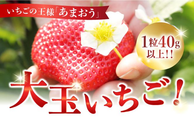 【1月中旬以降順次発送】築上町産 あまおう  12粒《築上町》【エースいちご株式会社】 大粒 あまおう 苺 いちご[ABAG006]