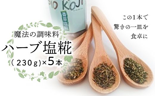 魔法の調味料 【 ハーブ塩糀 】× 5本 塩糀 塩麹 塩こうじ 麹 ハーブ 料理 調味料 発酵 農創 [AC11-NT]