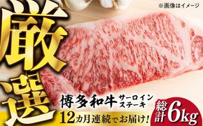 【全12回定期便】【溢れる肉汁と濃厚な旨味】博多和牛サーロインステーキセット 500g(250g×2枚)《築上町》【株式会社MEAT PLUS】[ABBP032]