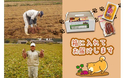 ＜蜜芋 国富金時セット (蜜芋400g×5＋干し芋150g×3)＞翌月末迄に順次出荷【a0187_hr_x2】