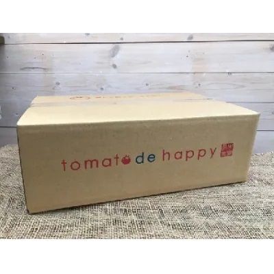 1月～6月毎月発送　まるでトマトの宝石箱！ジュエリートマトの定期便　約700g×6回コース　H004-170