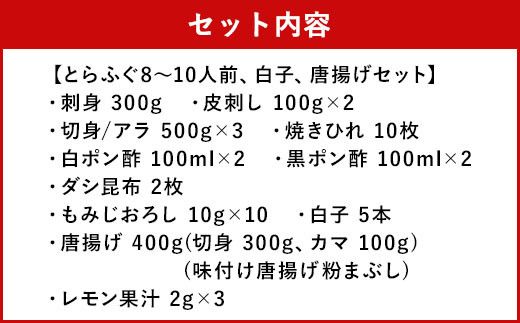 とらふぐフルコース【極】吉宝ふぐ(40cm赤絵皿全盛り・8～10人前、白子、唐揚げセット)『焼きひれ/特製ポン酢/もみじおろし付き』【2024年12月下旬から2025年4月上旬順次発送】