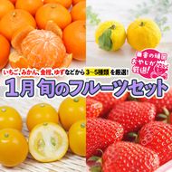 旬のフルーツセット 1月号 【令和7年1月より発送開始】田舎の頑固おやじが厳選！ [BI78-NT]