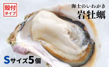 【海士のいわがき】海士町産 いわがき 岩牡蠣 Sサイズ 5個 殻付き 新鮮クリーミーな高級岩牡蠣 冷凍 生食 牡蠣ナイフ 説明書付き 850g～1.175kg