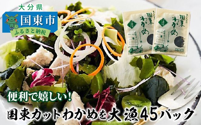 便利で嬉しい！国東カットわかめを大漁45パック_0005N