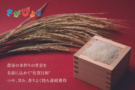 【令和6年産 新米】さがびより 精米 5kg【特A受賞米 米 5kg お米 コメ こめ 国産 美味しい ブランド米 人気 ランキング】(H015184)