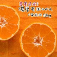 ご家庭用 訳あり 有田 みかん 10kg 【先行予約】 みかんの本場和歌山有田より農家直送！【11月中旬～１月上旬発送】   AO021