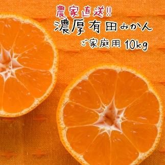 ご家庭用 訳あり 有田 みかん 10kg 【先行予約】 みかんの本場和歌山有田より農家直送！【11月中旬～１月上旬発送】   AO021