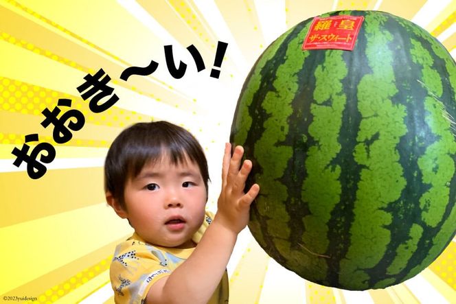 BH055【令和8年度出荷分】訳あり 大玉スイカ～羅皇（ラオウ）～（8〜15kg）[先行予約 数量限定 すいか スイカ 西瓜 フルーツ 果物 長崎 長崎県 島原市]