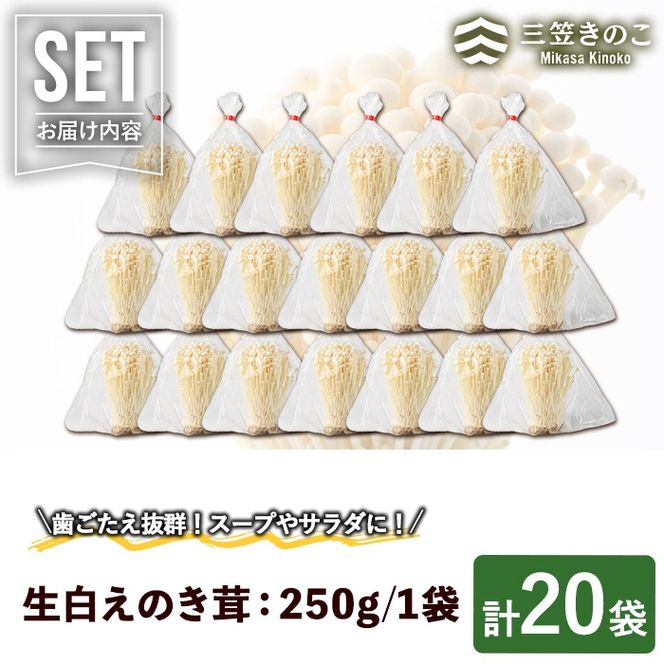 生白えのき茸(20袋・計5kg)国産 エノキ きのこ キノコ 個包装【三笠えのき茸生産組合】a-12-221