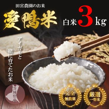 L-6 【新米】アイガモと一緒に育てたお米「愛鴨米・白米」3kg