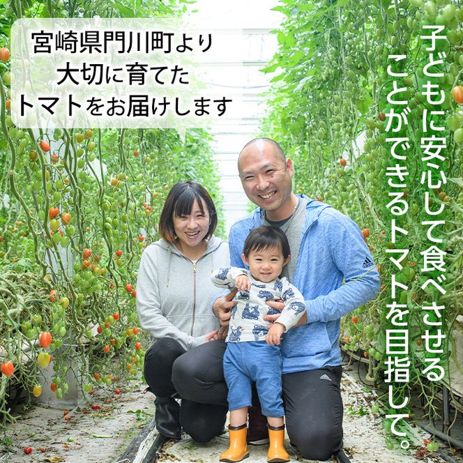 ＜先行予約受付中！2025年11月上旬から順次発送予定＞カラフルトマト食べ比べセット(約2kg・9品種の中から4品種以上)国産 宮崎県産 とまと 野菜 サラダ 黄色 オレンジ みどり 紫 アイコ 赤 セレブスイート【KT-2】【K.TFarm】