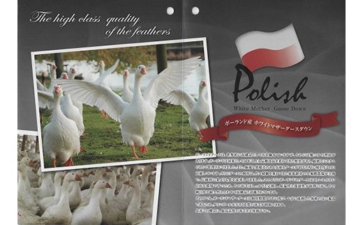 『ふんわりここちよい』羽毛掛けふとんプレミアム  羽毛布団 国内生産 ギフト シングル S 日本製 寝具 軽量 肌掛け布団