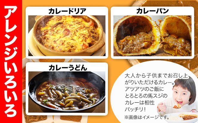 たっぷり！馬スジカレー 10食セット《60日以内に出荷予定(土日祝除く)》馬スジ カレー お肉 馬すじ カレーライス 馬肉 贈答 ギフト グルメ お取り寄せ 熊本県 南阿蘇村 送料無料 個包装 大人気 簡単調理 千興ファーム---sms_fbsjikr_60d_25_17000_10set---