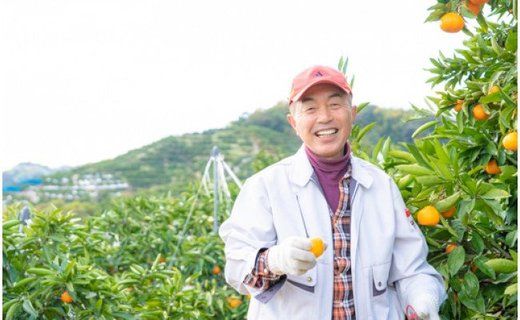 本格超熟成みかんジュース　ストレート１００％無添加【じょうまろノーブル７２０ｍｌｘ3本】K008