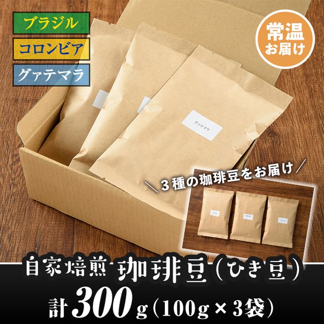 isa213 自家焙煎珈琲ひき豆3袋(計300g・100g×3種)時間と手間をかけて徹底したハンドピックで選び抜いたコーヒー豆を、少量づつ丁寧に焙煎！3種飲み比べも！【工房ゆう】