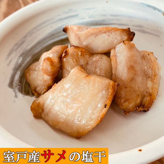ymˎszӂ̓Si߂̉j@nk026