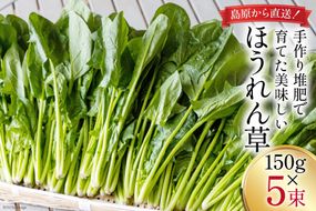 【BH009】ほうれん草 150g×5束