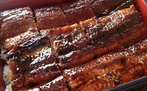 三河一色産 鰻の蒲焼き 1尾 180g以上 うなぎ処はちすか 国産 日本料理 うなぎ 蒲焼 白焼き 真空 冷蔵 大きい うな丼 うな重 ひつまぶし　H026-028