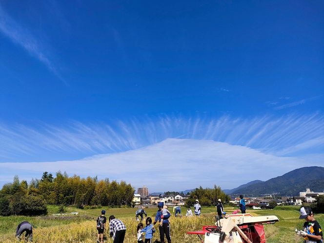 米 予約 令和7年産 自然栽培米 ヒノヒカリ 玄米 5kg 京都府・亀岡産 栽培期間中農薬不使用 ※離島への配送不可 ※2025年12月より順次発送予定