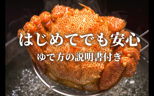 【期間限定3月～4月発送】三陸産三陸活毛ガニ400g×1杯(1尾)【0tsuchi00659】【05】