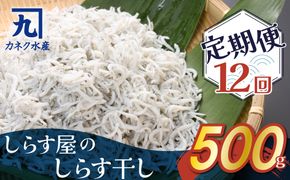 しらす屋のしらす干し 500ｇ×12ヶ月 定期便 H006-086