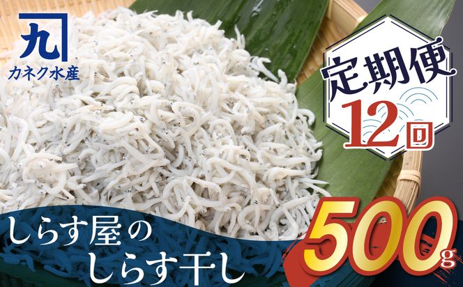 ymɓsz炷̂炷 500×12  H006-086