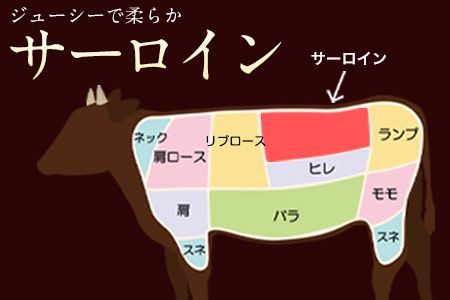牛肉 あか牛 サーロイン ステーキ 500g ( 250g x 2枚 ) 牛肉 冷凍 《2026年1月中旬-3月末頃出荷》 冷凍庫 個別 取分け 小分け 個包装 ステーキ肉 あかうし 赤牛 あか牛丼 にも サーロインステーキ---oz_fakasir_bc13_r7_19000_500g---