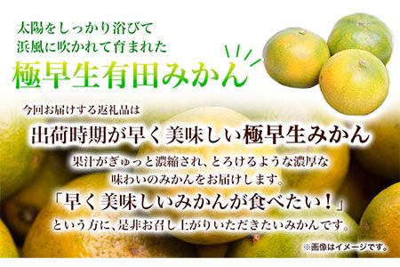 ＜先行予約＞家庭用 極早生有田みかん5kg+150g（傷み補償分）【YN26・ゆら早生】【わけあり・訳あり】池田鹿蔵農園（池田農園株式会社）《9月中旬-11月中旬頃より出荷》和歌山県 日高町 みかん 有田みかん 完熟 厳選---wsh_idn43_9c11c_24_11000_5kg---