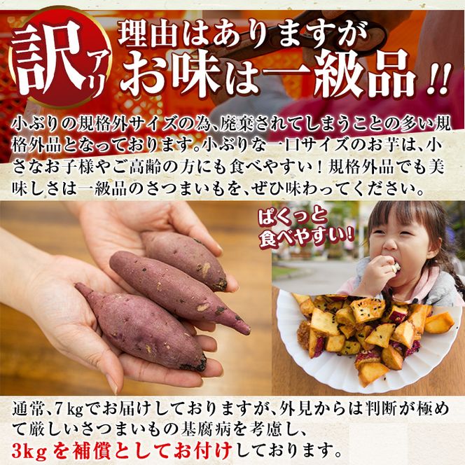 a732 《訳あり》畑の金貨・生芋紅はるか7kgと補償3kg 合計10kg(小さ目サイズ)【甘いも販売所】姶良市 芋 いも さつまいも 紅はるか べにはるか 熟成 規格外