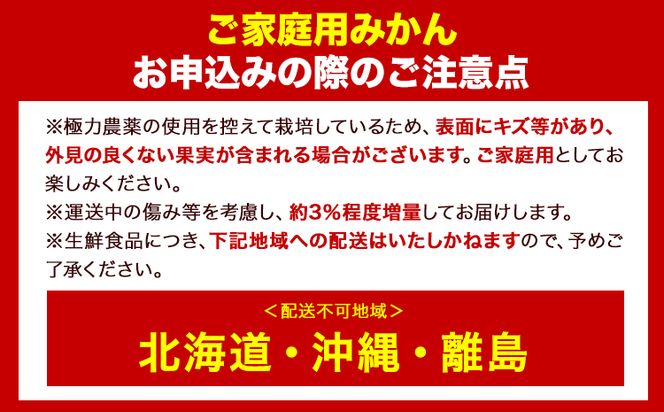 ＜先行予約＞家庭用 大きな有田みかん 5kg+150g（傷み補償分）【わけあり・訳あり】【光センサー選果】 池田鹿蔵農園@日高町（池田農園株式会社）《11月中旬-2月中旬頃出荷》和歌山県 日高町---wsh_idn60_11c2c_24_7000_5kg---