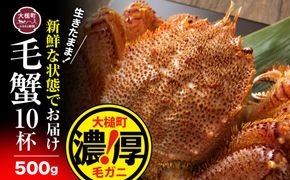 【令和7年発送】三陸産活毛ガニ 500g×10杯【2025年2月〜4月発送】【配送日指定不可】【0tsuchi00978】【08】