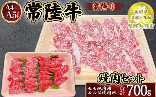 瑞穂農場で育てた常陸牛焼肉セット700g【茨城県共通返礼品　常陸大宮市】 ※離島への配送不可