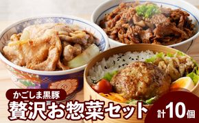 【岩元精肉店】鹿児島県産　贅沢お惣菜詰合せセットＡ　K045-009