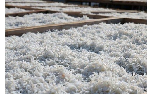 279 釜揚げしらす250g×4パック (A279-2)