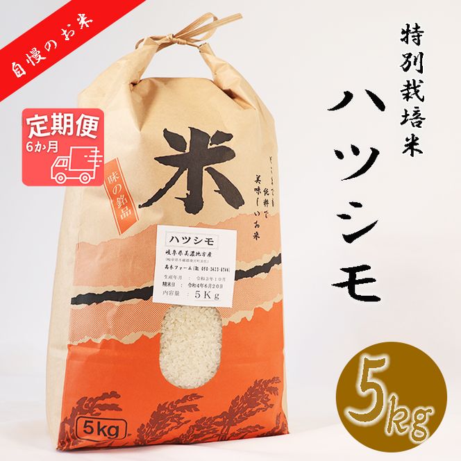 BI-14a-R7 【6か月定期便】【特別栽培米】垂井町産ハツシモ(5kg×6回）