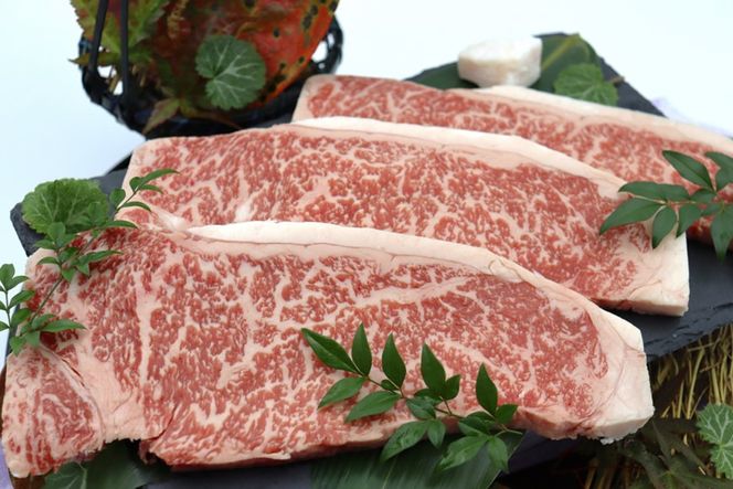 [AS002] 【A4-5ランク】能登牛サーロインステーキ用（600g）